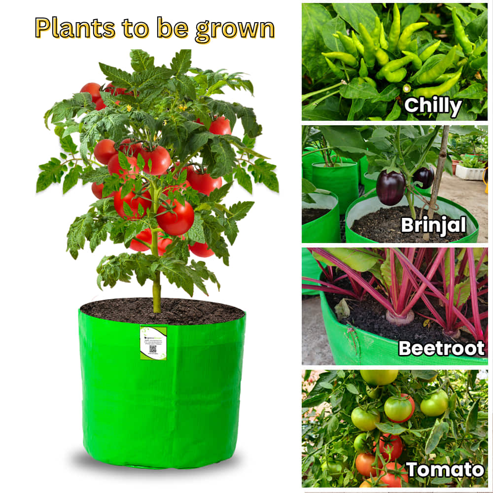 OrganicBazar HDPE 10×10 Cylindrical Grow Bag – 260 GSM | UV-Stabilized Round Grow Bag for Vegetables & Flowers