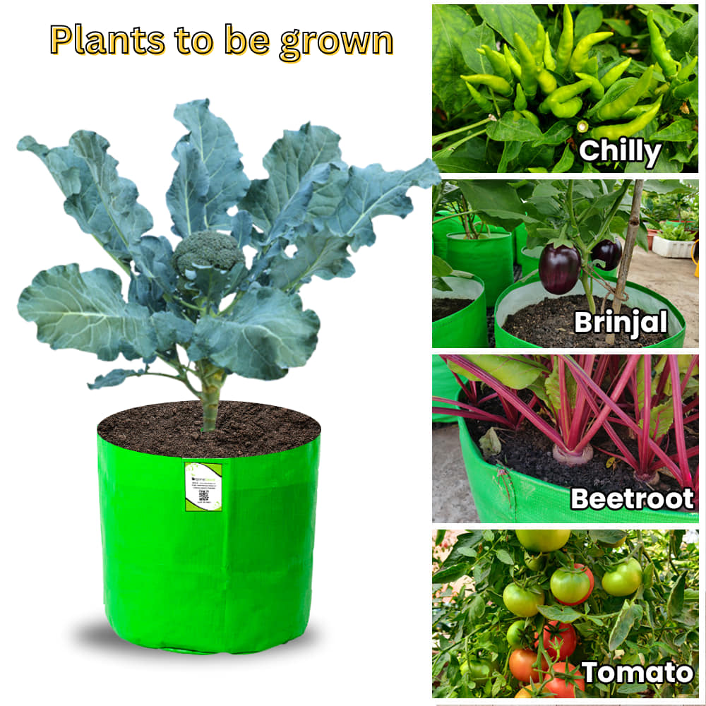 OrganicBazar 12x15 Grow Bag for Vegetable Garden, Premium HDPE 260 GSM, Green Plant Bags