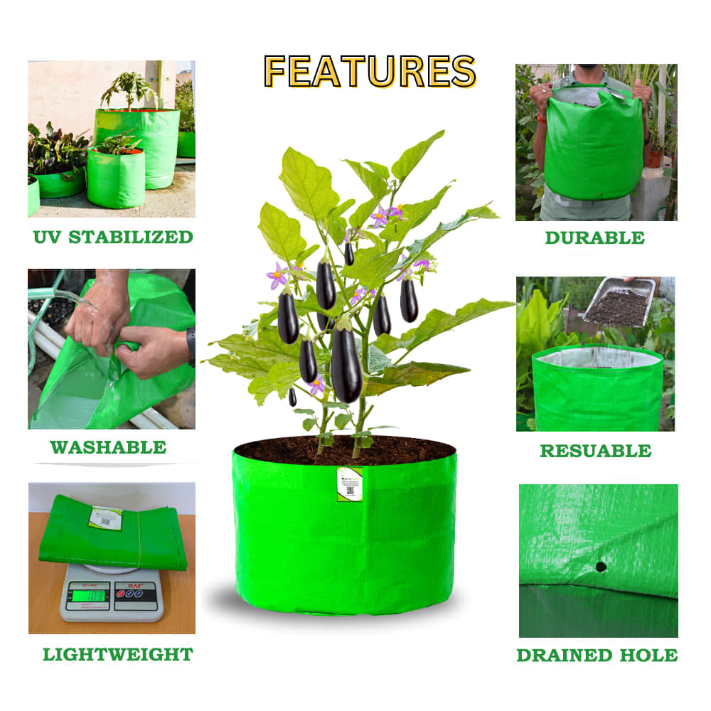 OrganicBazar 18x12 Grow Bag for Vegetable Gardening, Premium HDPE 260 GSM, Green Plant Bags for Home Garden