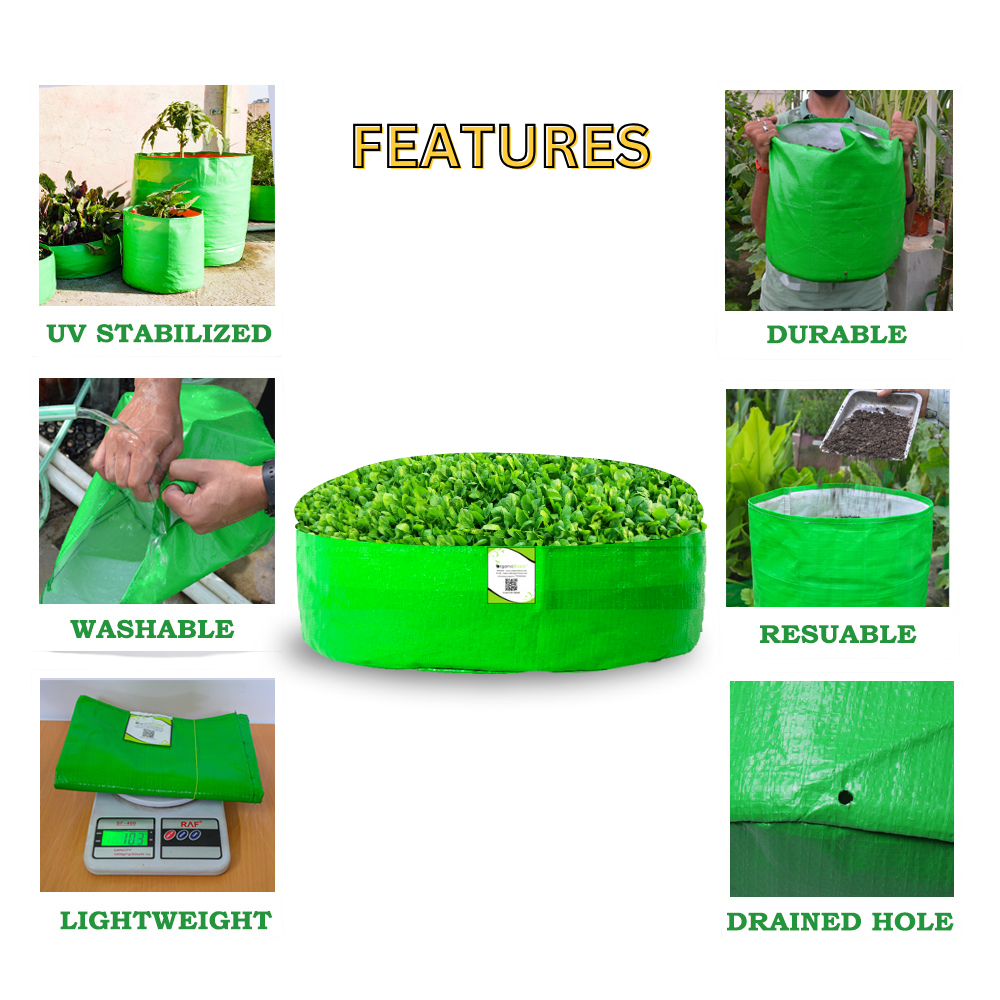 OrganicBazar 18x6 Grow Bag for Leafy Vegetables, Premium HDPE 260 GSM, Green Plant Bags for Terrace Garden