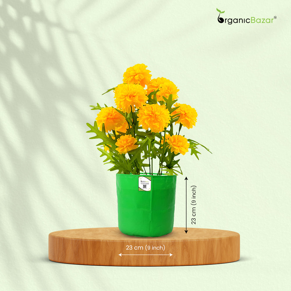 OrganicBazar 9x9 Small Grow Bag for Terrace Garden, Premium HDPE 260 GSM, Green Plant Bags