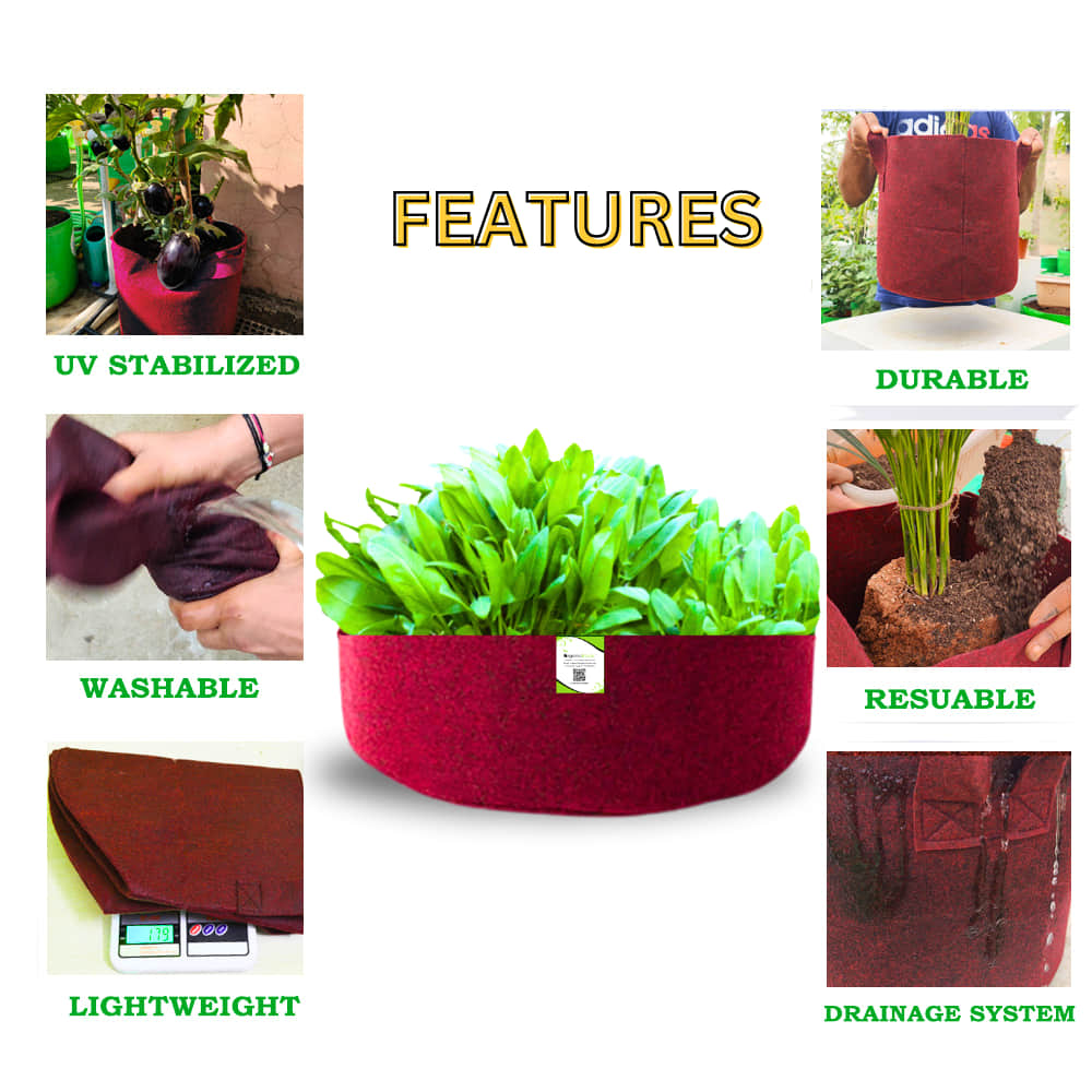 Geo Fabric 24x9 Grow Bag For Terrace Gardening Suitable For Leafy Vegetable and Flower Plants
