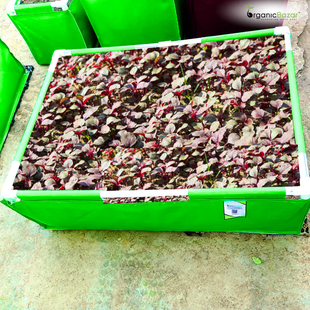 HDPE 36x24x12 Rectangle Grow Bag With Supporting Pvc Pipes Extra Thick Premium Quality Grow Bags