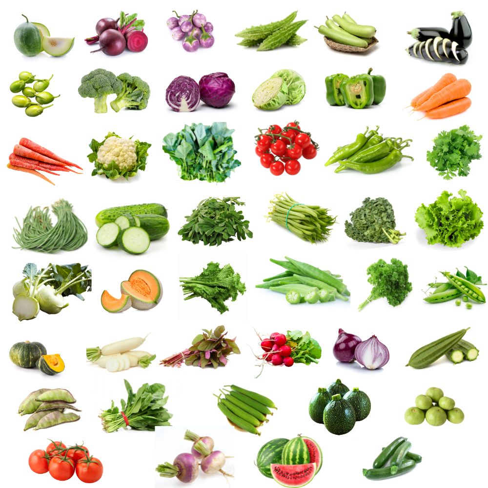 45 Variety of Vegetable Seeds kit With High Germination Rate