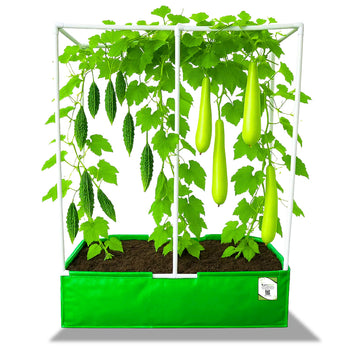 OrganicBazar 48x24x12 Rectangular Grow Bag with Long Frame for Creeper Plants