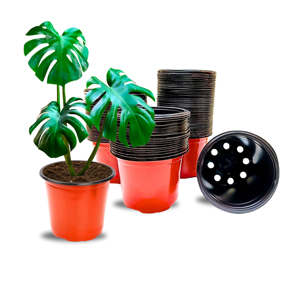 Thermoform Pot-4 Terracotta Color (Set of 20) (10cm)