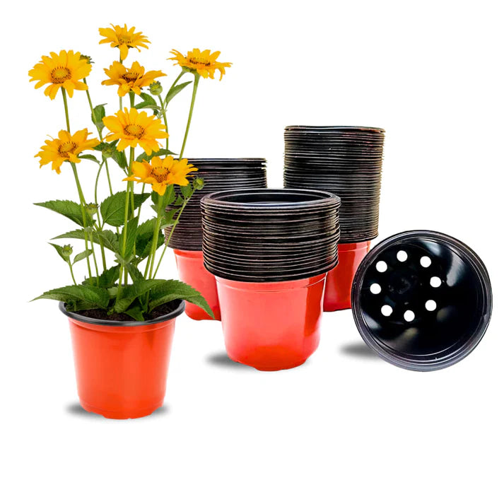 13 cm plant pots Thermoform Pot-5 Terracotta Color (Set of 20)(13 CM) – Organicbazar