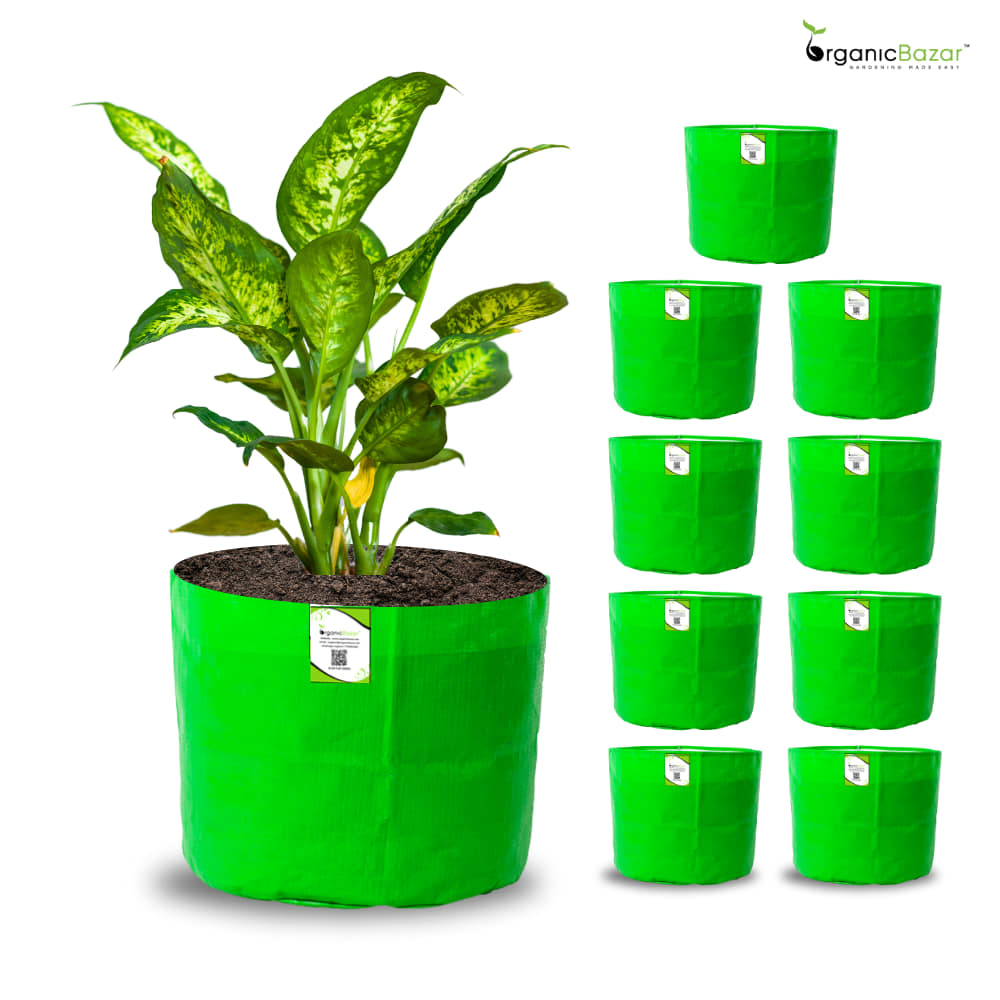 OrganicBazar 5x5 Small Size Grow Bag for Nursery Plants, Premium HDPE 260 GSM, Green Plant Bags