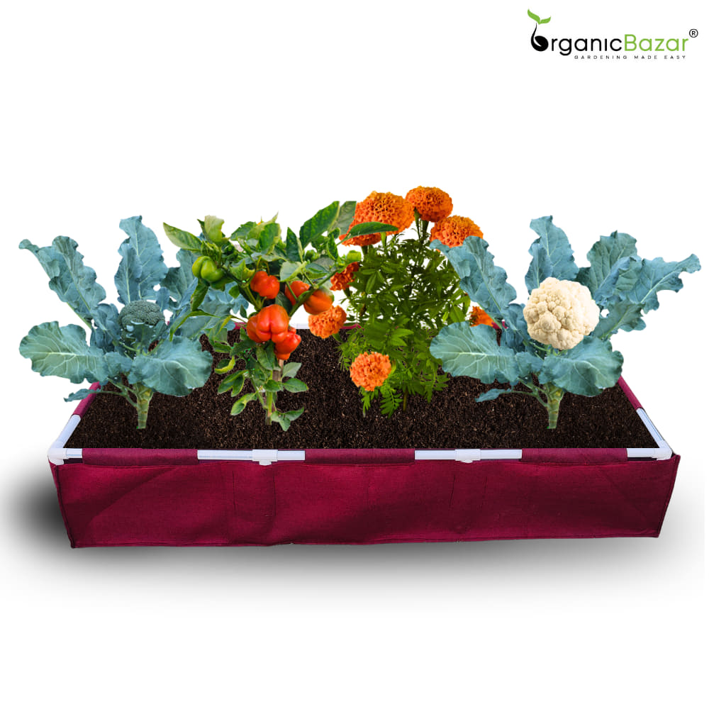 OrganicBazar Geo Fabric 72x36x12 Rectangular Grow Bag With Supporting PVC Pipes Frame, 450 GSM Raised Bed