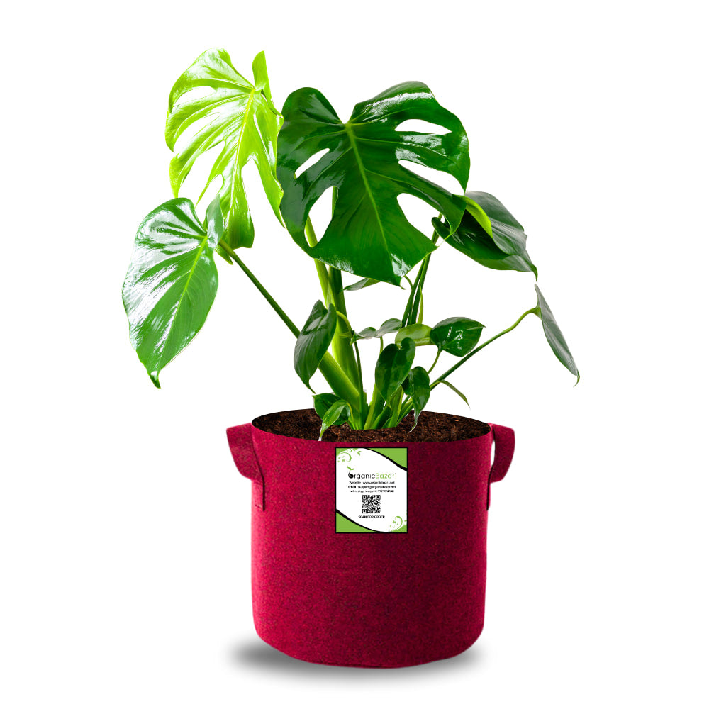OrganicBazar 9x9 Geo Grow Bags Suitable for Vegetable and Flower Plants, Premium Quality 450 GSM Maroon Planters for Terrace Garden
