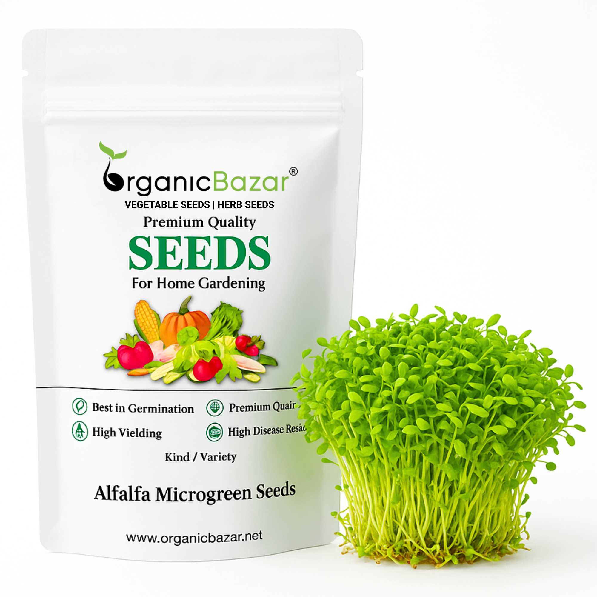 17+ Alfalfa Microgreen Seeds Buy Best Quality Alfalfa Microgreen Seeds online - Organicbazar