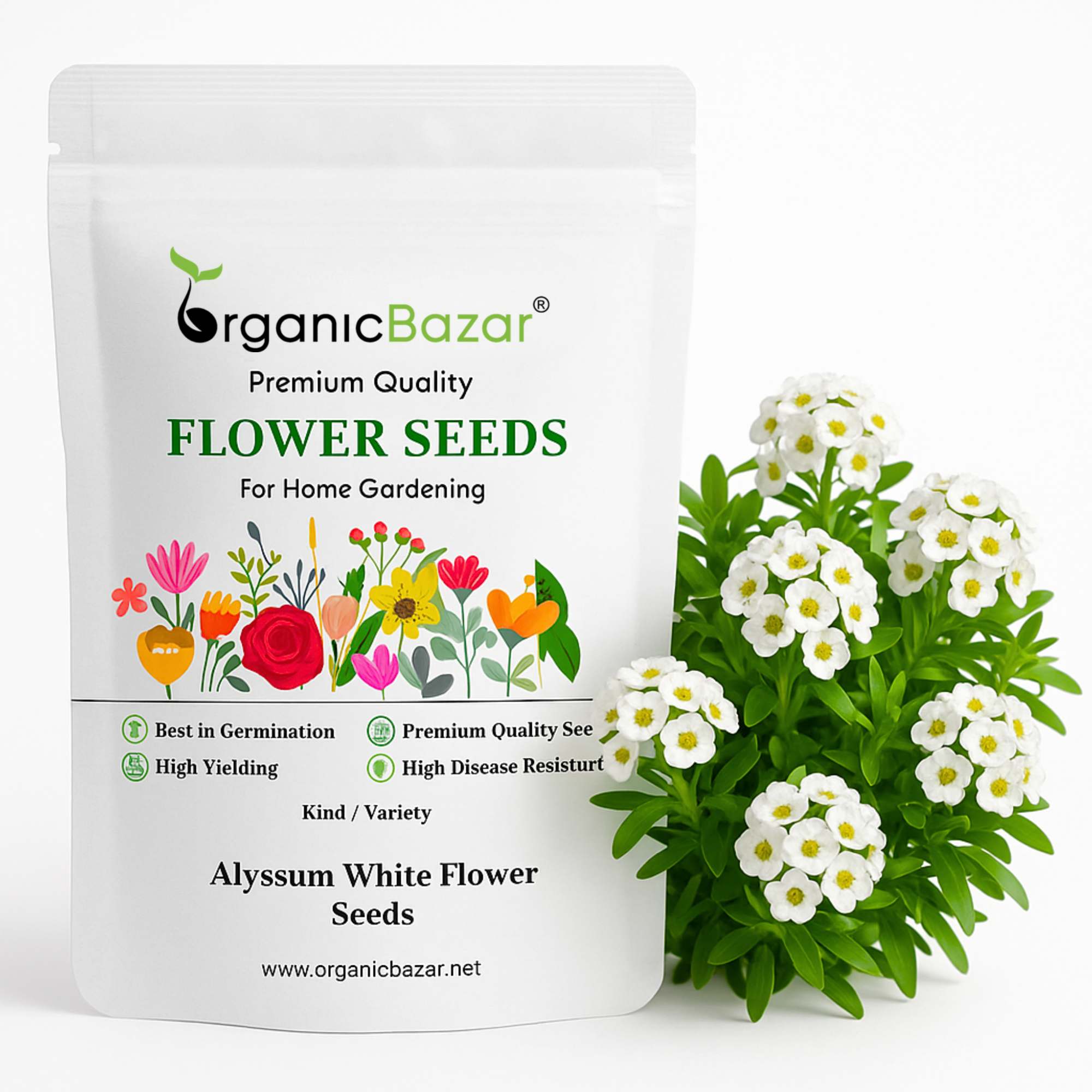 alyssum seed to flower time Buy Best Quality Alyssum White Flower Seeds – Organicbazar