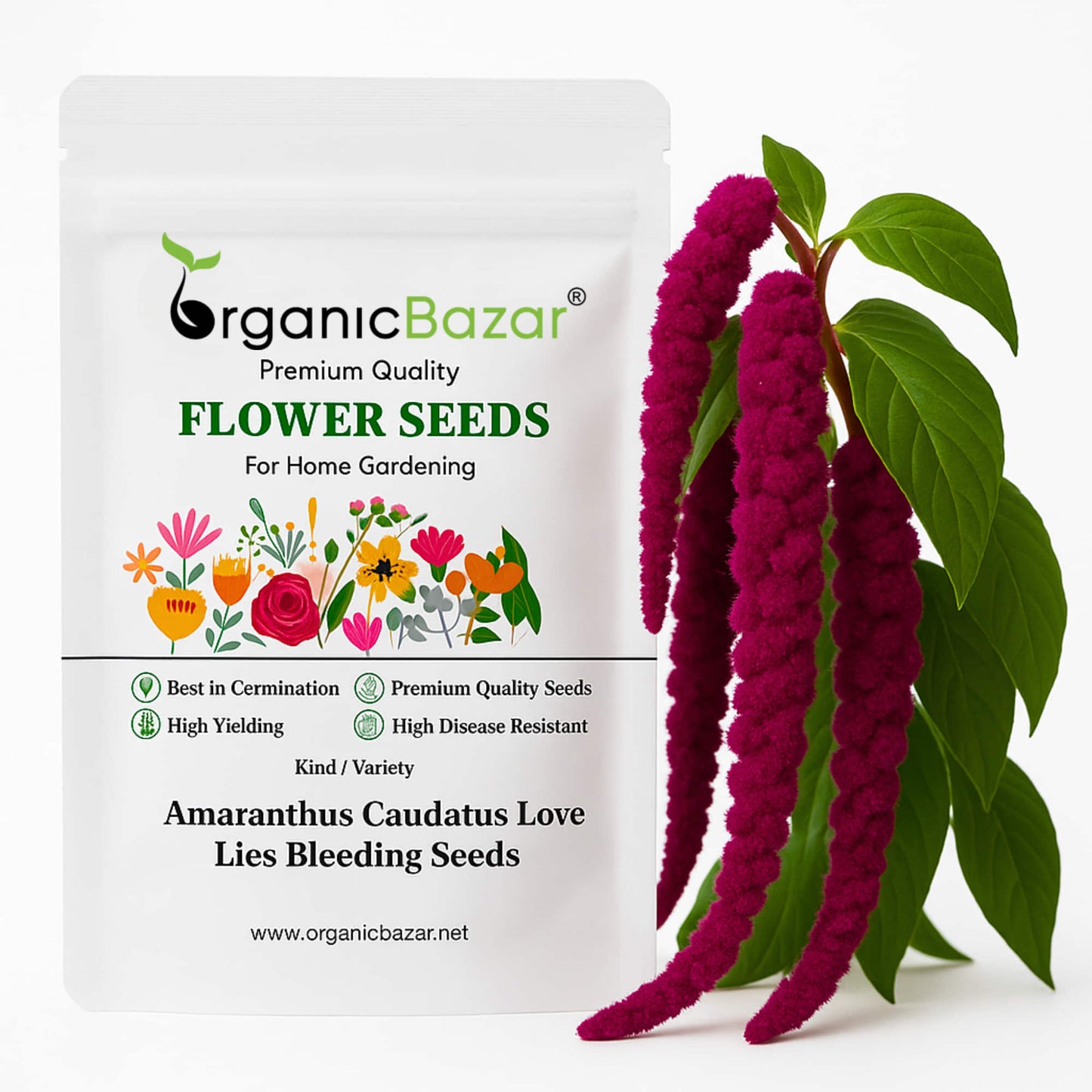 Amaranthus Caudatus Love Lies Bleeding Seeds (200 Seeds) High Germination/ Easy To grow/ Perfect for pots, balconies, or Terrace gardens