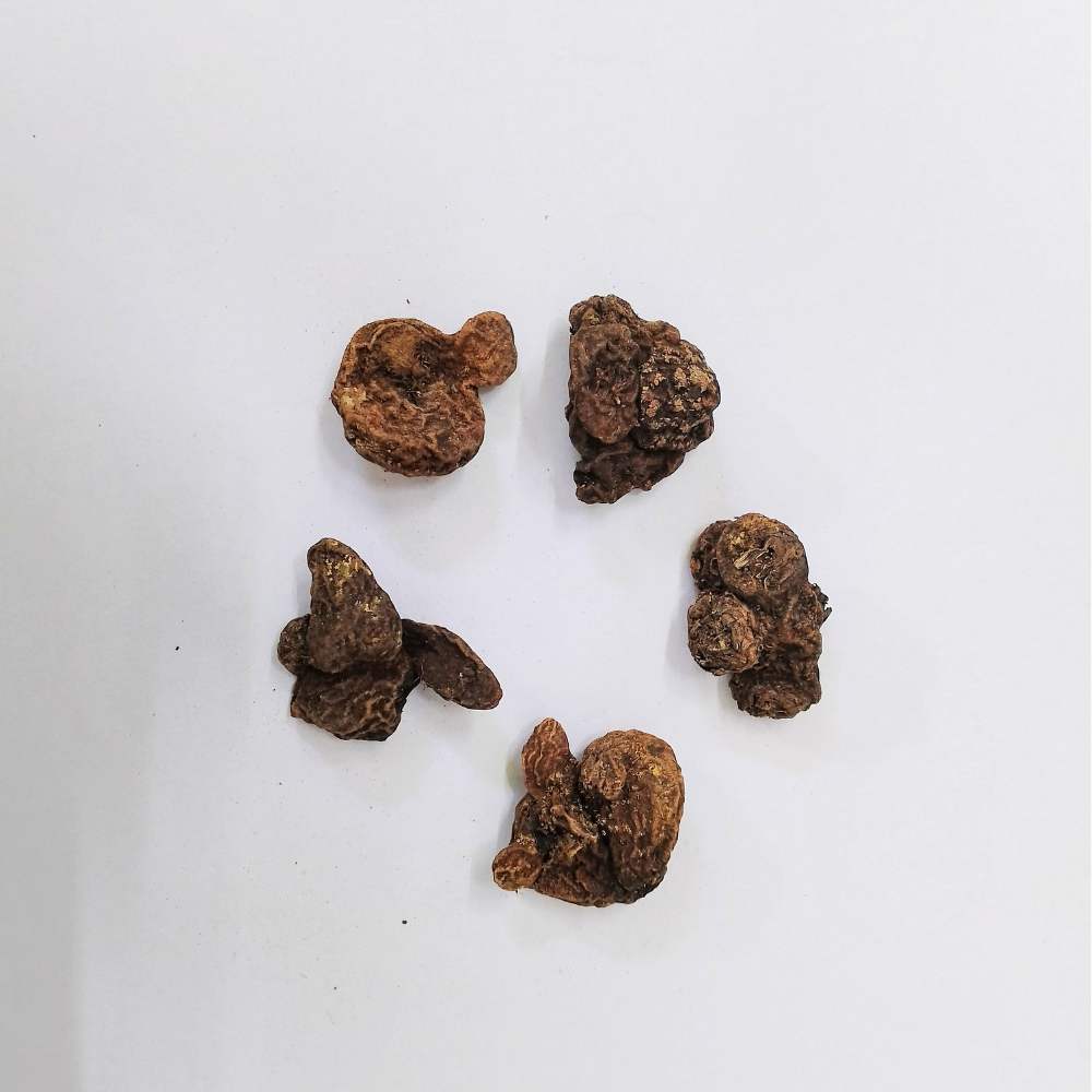 Anemone Mount Everest (White) Flower Bulbs (05 Bulbs)