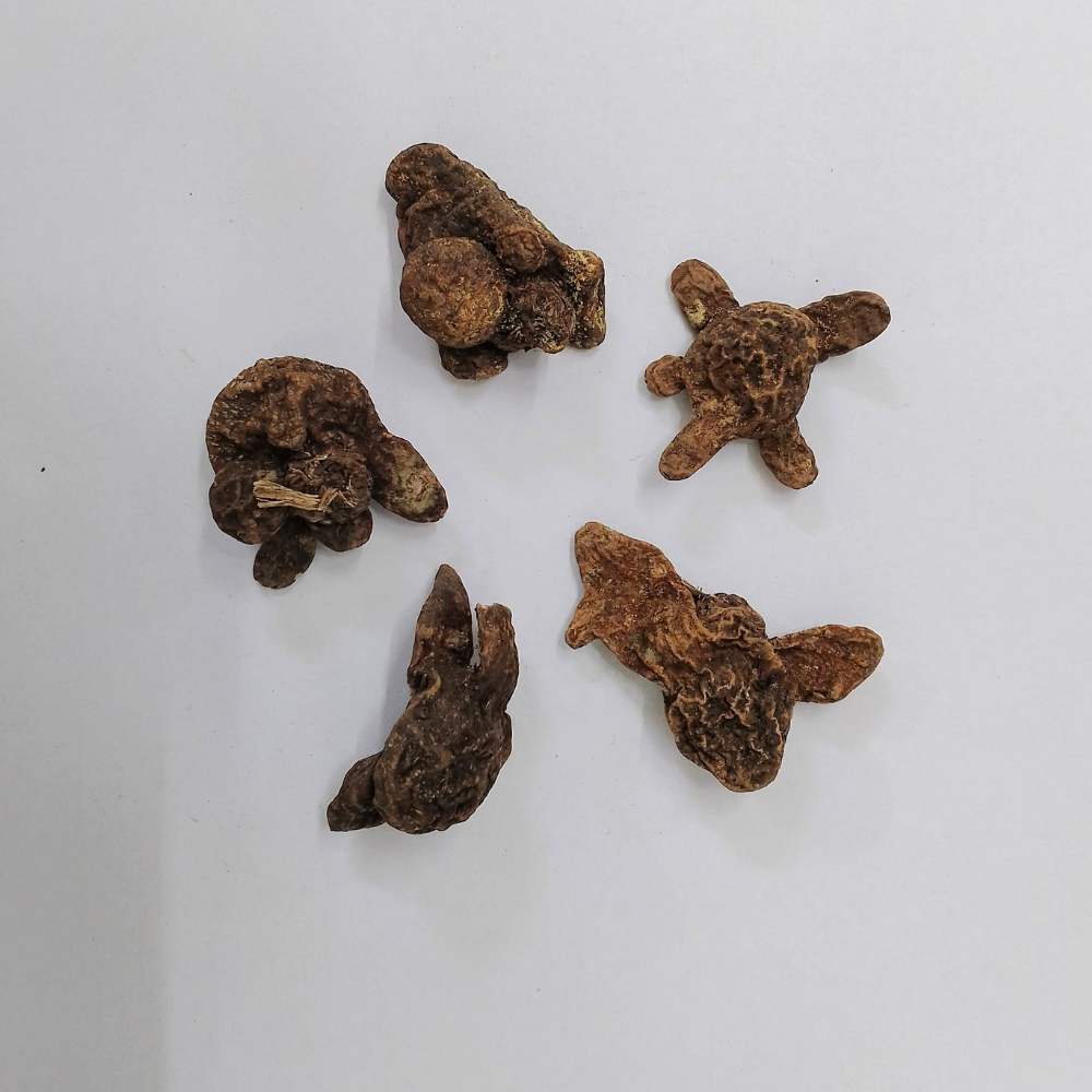 Anemone Yellow Wood Flower Bulbs