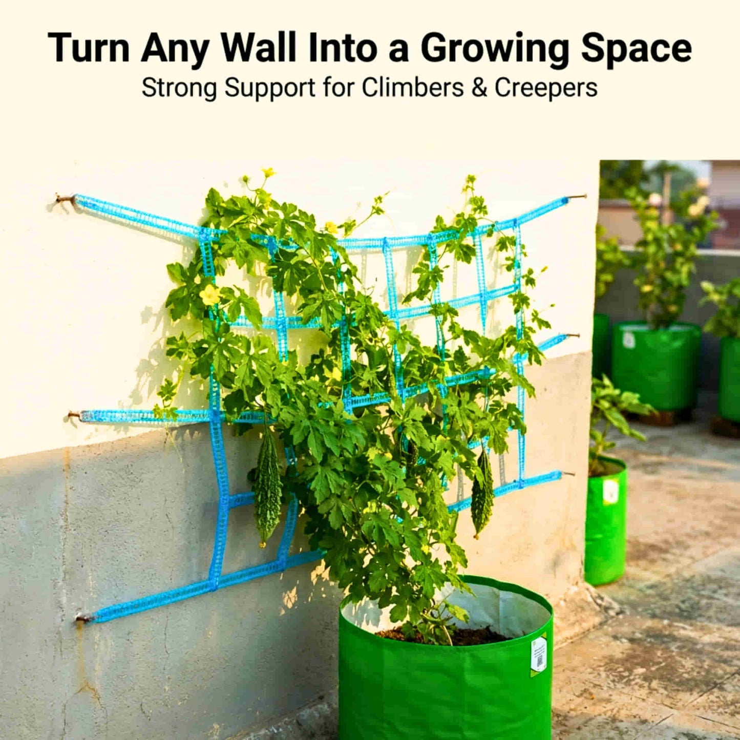 Windproof Anti-Slip Clothes Drying Rope (5 Meter) with Hooks | Nylon Washing Line for Home, Travel, Garden, & Outdoor Use