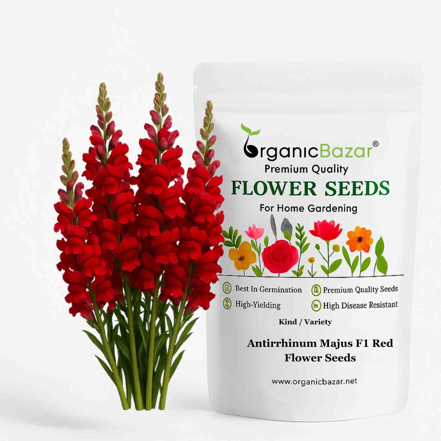 Antirrhinum (Snapdragon) Majus F1 Red Flower Seeds (100 Seeds)