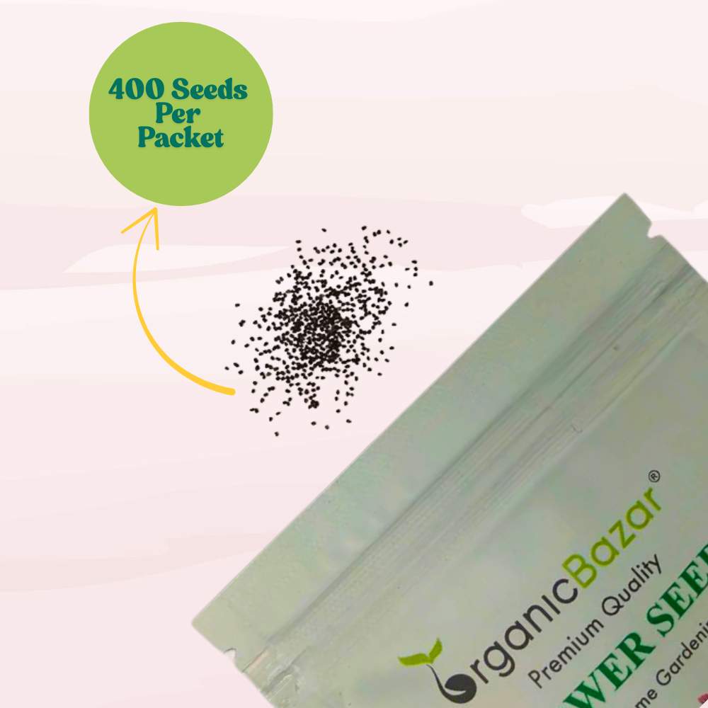 Antirrhinum Semi Tall Mix Seeds (400 Seeds) High Germination/Easy To grow/ Perfect for Terrace gardens