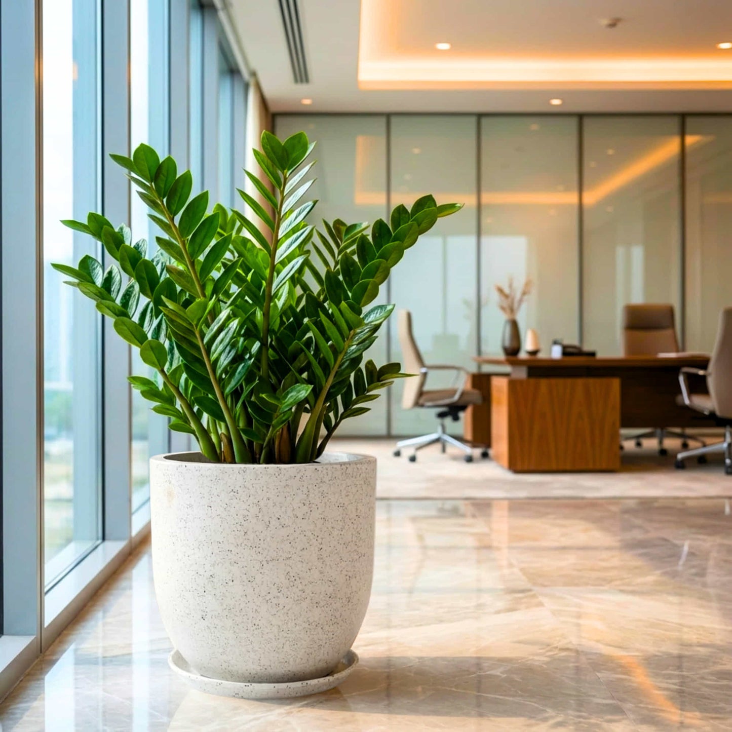 Roto-Moulded Aroma Pot with Saucer | Premium Stone-Finish Planter with 10+ Years Durability for Indoor & Outdoor Garden (Pack of 1)