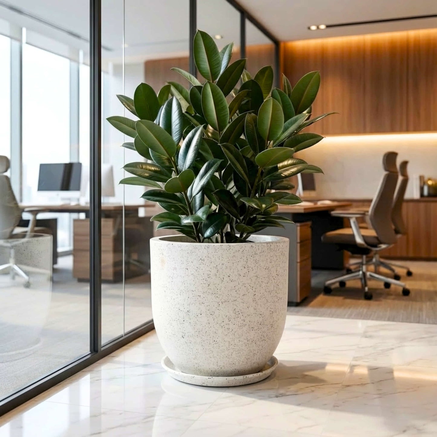 Roto-Moulded Aroma Pot with Saucer | Premium Stone-Finish Planter with 10+ Years Durability for Indoor & Outdoor Garden (Pack of 1)