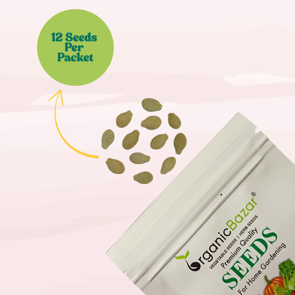 Ash Gourd Seeds - 12 Seeds (Petha /पेठा के बीज) Easy To grow, High Germination, High Yield Ash Gourd Seeds for Home Gardening