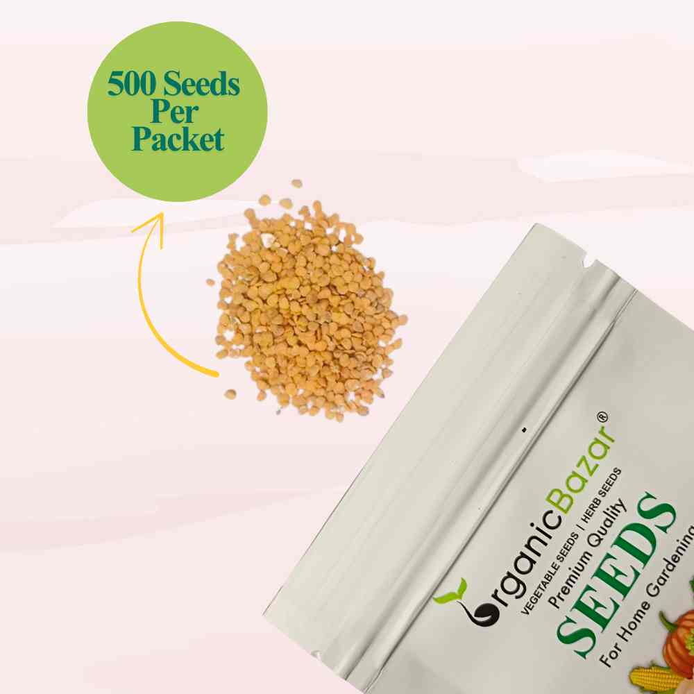 Ashwagandha Seeds - 500 Seeds (अश्वगंधा के बीज) High Germination Rate, Herbal Plant