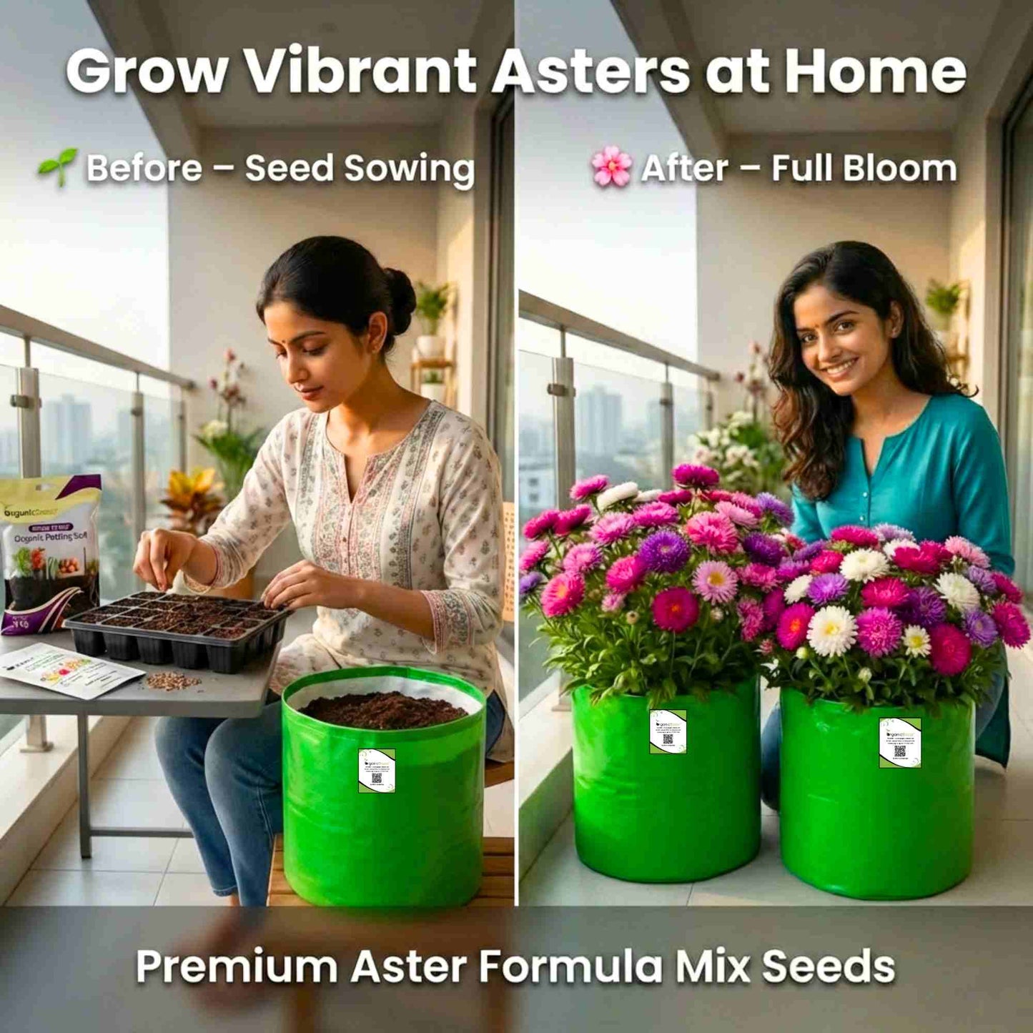 Aster Formula Mix Seeds (100 Seeds) High Germination/Easy To grow/ Perfect for pots, balconies, or Terrace gardens