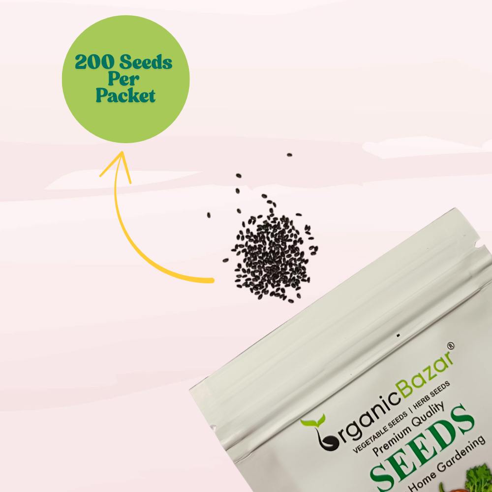 Basil Dark Opal Seeds - 200 Seeds (तुलसी के बीज) High Germination/Perfect for pots, balconies, or Terrace gardens