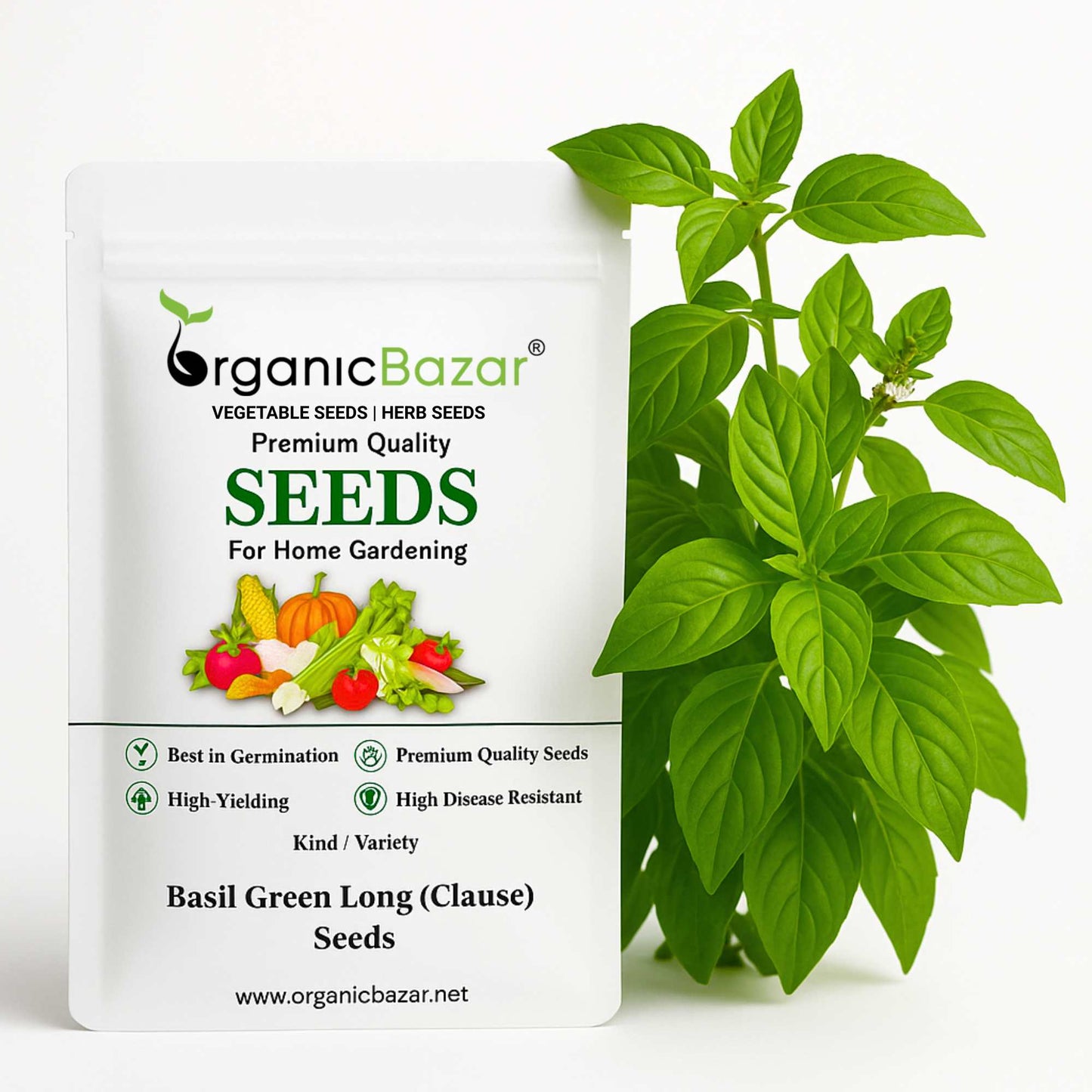 Basil Green Long (Clause) Seeds - 200 Seeds (Tulsi/तुलसी के बीज) High Germination/Perfect for pots, balconies, or Terrace gardens