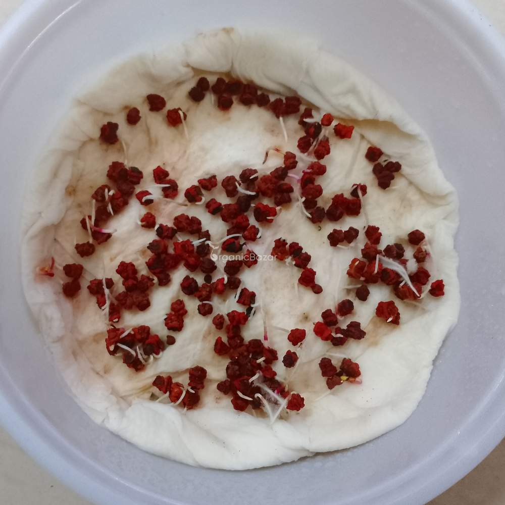 Beetroot (chukandar) Seeds - 150 Seeds (चुकंदर के बीज)