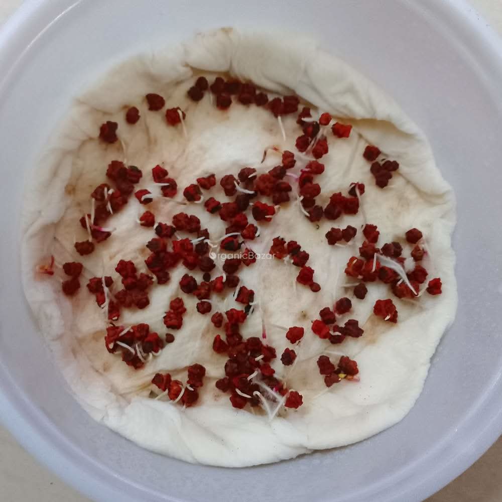 Beetroot (chukandar) Seeds - 150 Seeds (चुकंदर के बीज)