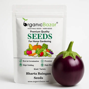 Bharta baingan Seeds - 50 Seeds) High Germination/ High Yield / Ideal for Terrace/Kitchen Gardening (Brinjal/Eggplant/बैंगन के बीज)