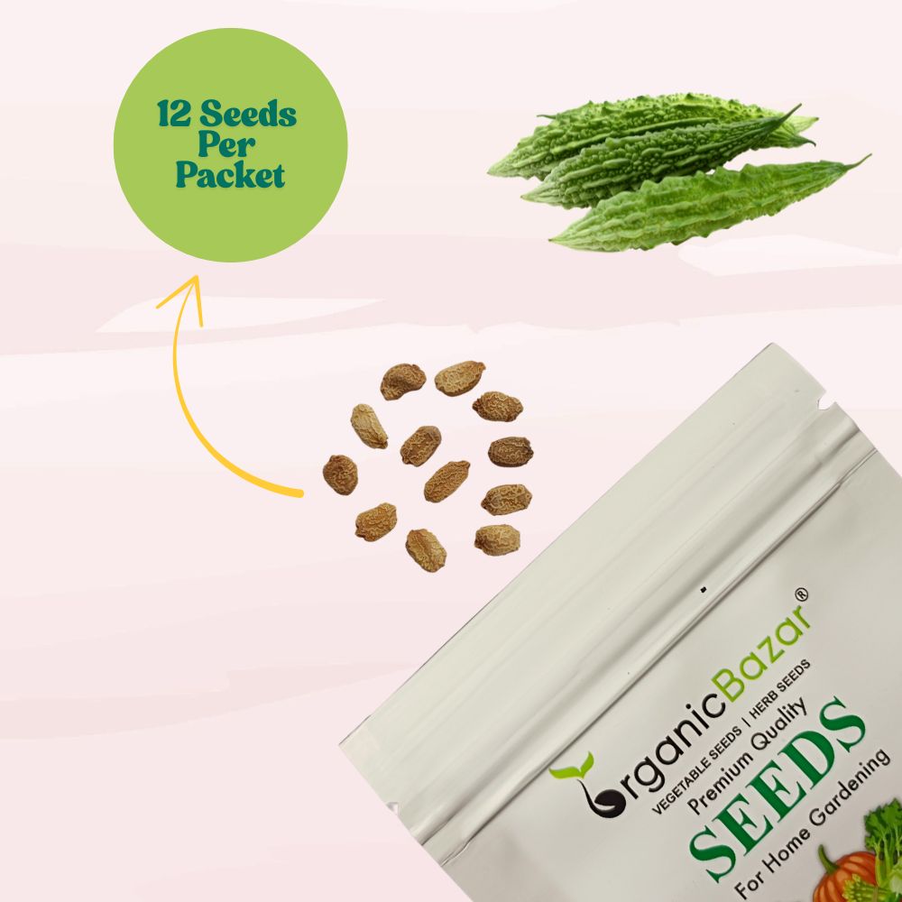 Bitter Gourd (Karela) Seeds Long - 12 Seeds (करेला के बीज) Easy To grow, High Germination, High Yield Karela Seeds for Home Gardening