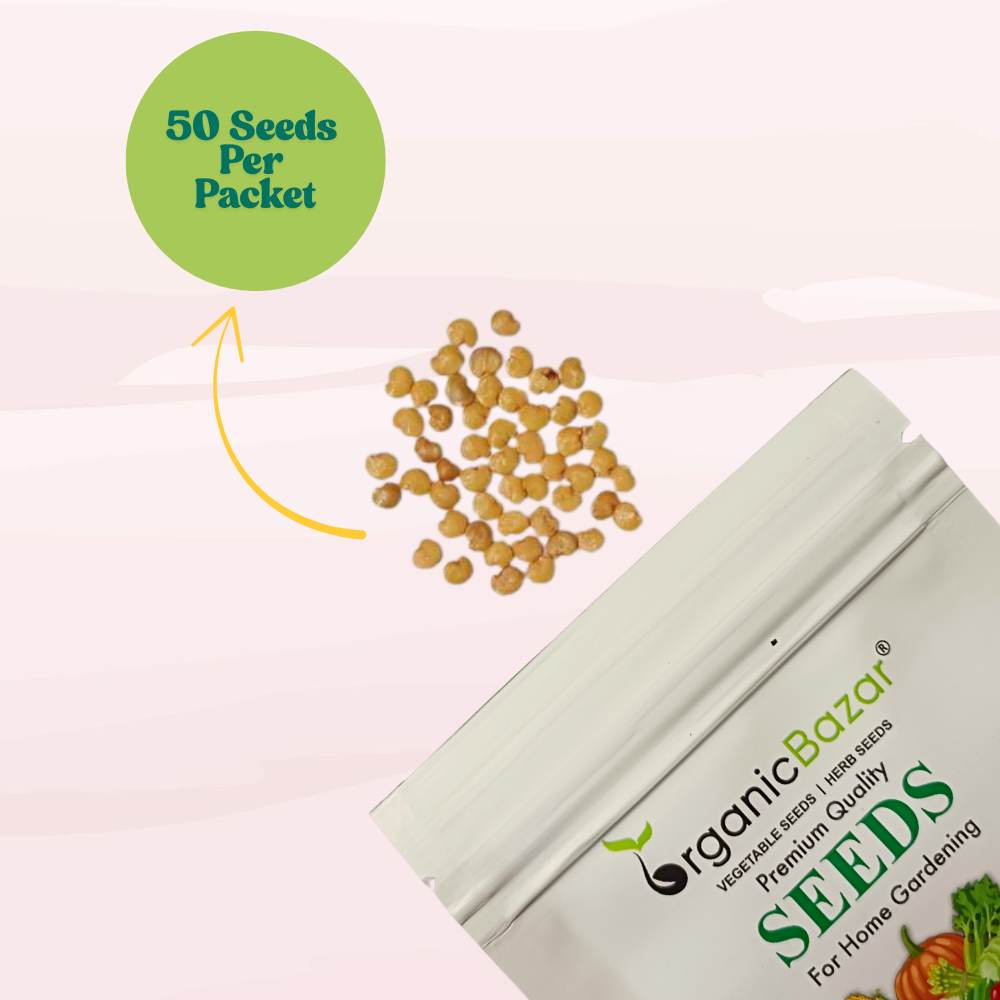 Black Beauty Brinjal Seeds - 50 Seeds (Black beauty Baingan/Eggplant/बैंगन के बीज) High Germination/ High Yield / Ideal for Terrace/Kitchen Gardening