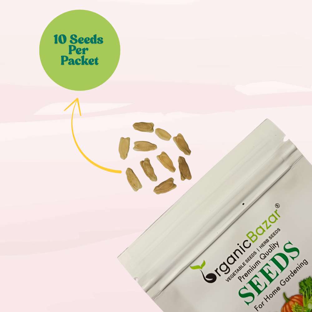 Bottle Gourd Long Dark Green With (Spots) F1 Hybrid Seeds - 12 Seeds (Lambi Lauki/ Ghiya/ लंबी लौकी के बीज) Easy To grow, High Germination, High Yield, Perfect Seeds for Terrace gardening