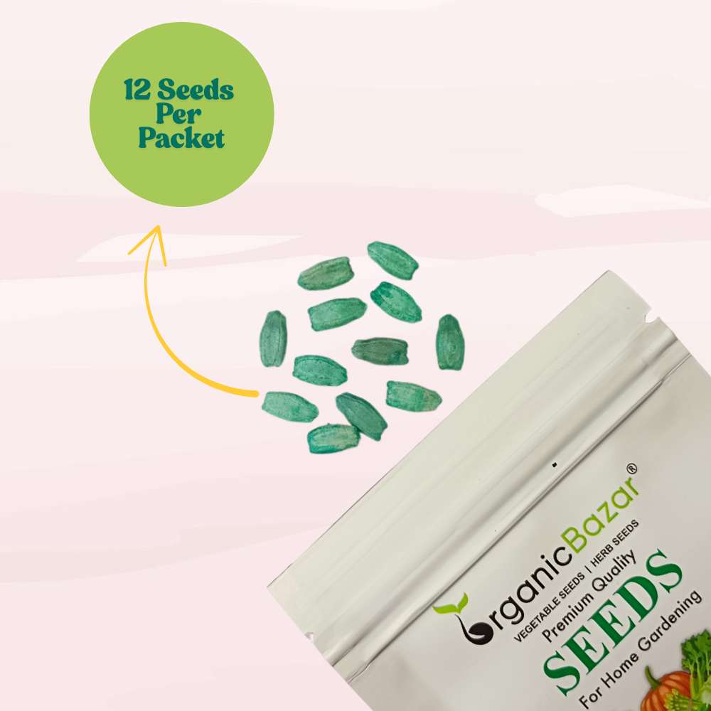 Bottle Gourd (Lauki / Ghiya) Long Seeds - 12 Seeds (लौकी के बीज) Easy To grow, High Germination, High Yield, Perfect Seeds for Terrace gardening