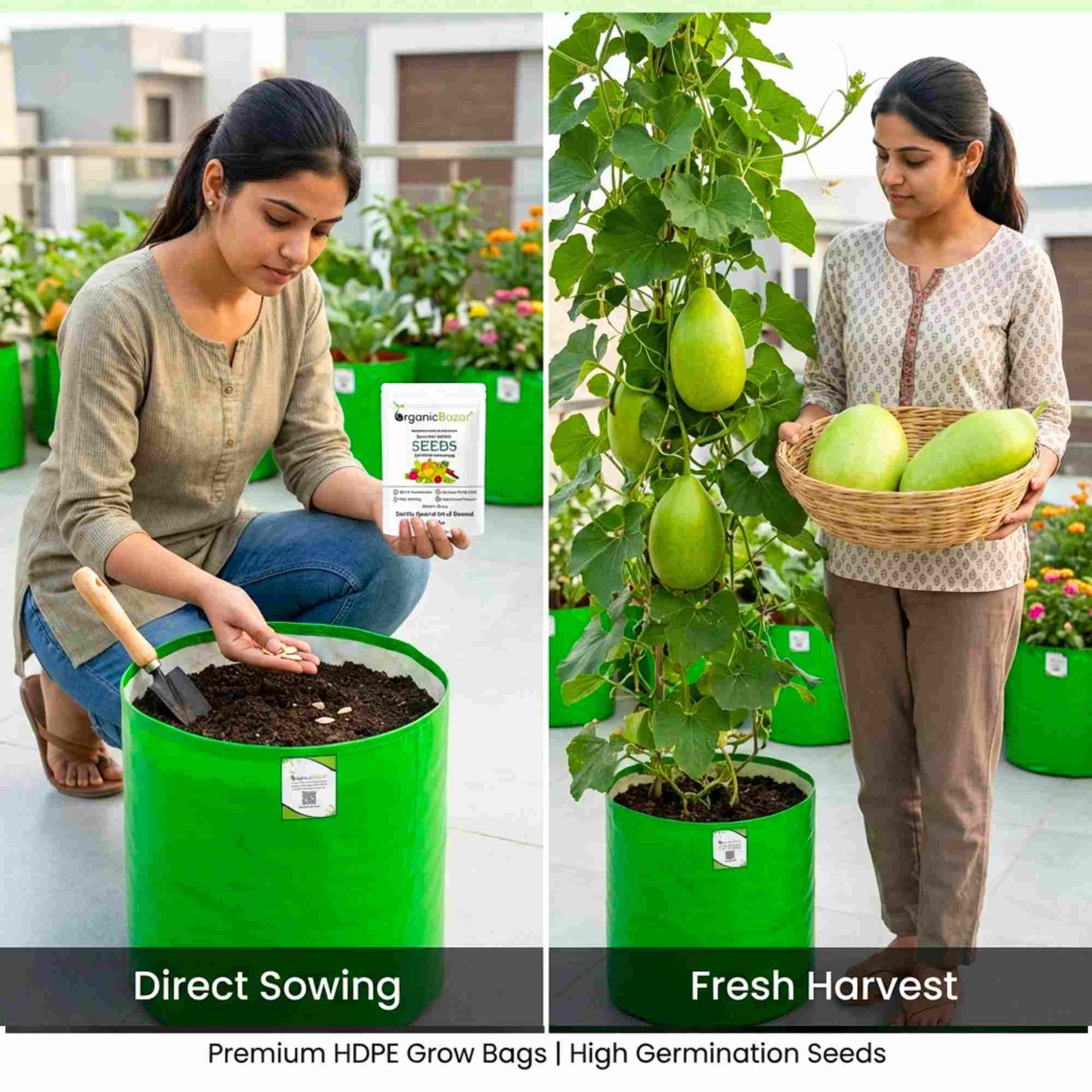 Bottle Gourd (Lauki / Ghiya) Oval Round Seeds - 12 Seeds (गोल लौकी के बीज) Easy To grow, High Germination, High Yield, Perfect Seeds for Terrace gardening