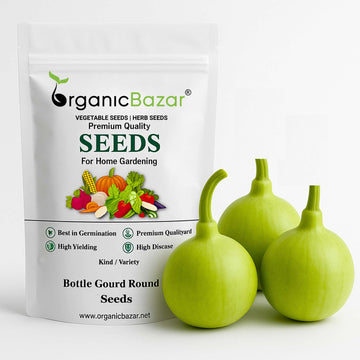 Bottle Gourd Round Seeds - 12 Seeds (गोल लौकी के बीज) Easy To grow, High Germination, High Yield,  Perfect Seeds for Terrace gardening