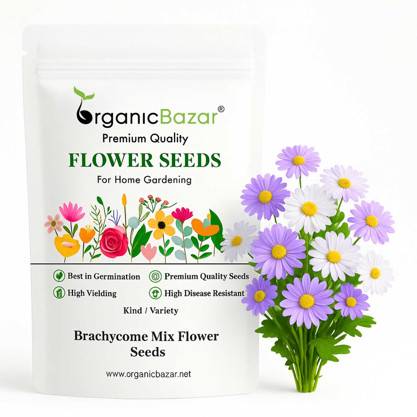Brachycome Mix Flower Seeds (200 Seeds) High germination/Easy To grow/ Perfect for pots, balconies, or Terrace gardens