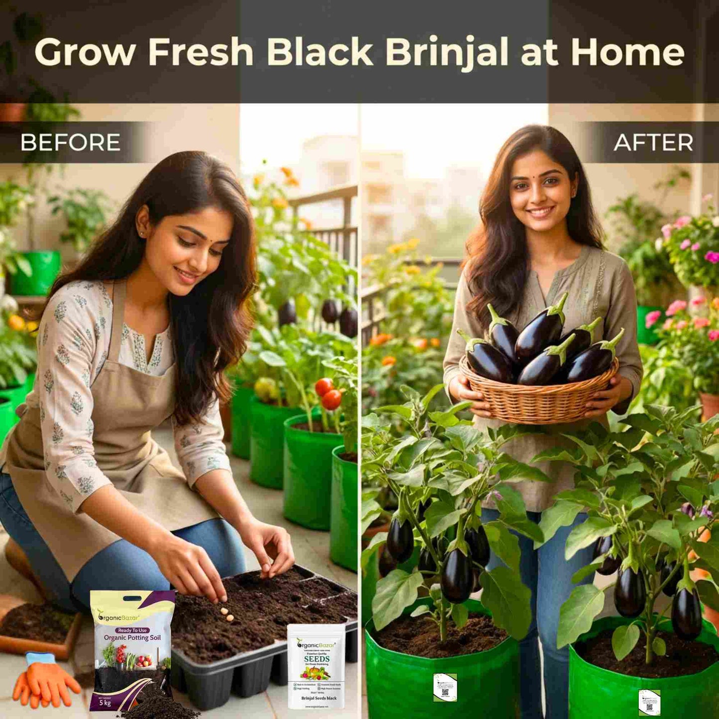 Brinjal Seeds Black - 50 Seeds) High Germination/ High Yield / Ideal for Terrace/Kitchen Gardening (Black Baingan/eggplant/ब्लैक बैंगन के बीज)