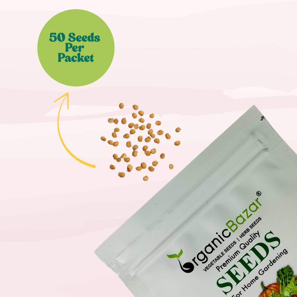 Brinjal Oval Green Round Seeds - (50 Seeds) High Germination/ High Yield / Ideal for Terrace/Kitchen Gardening (Baingan/Eggplant/बैंगन के बीज)