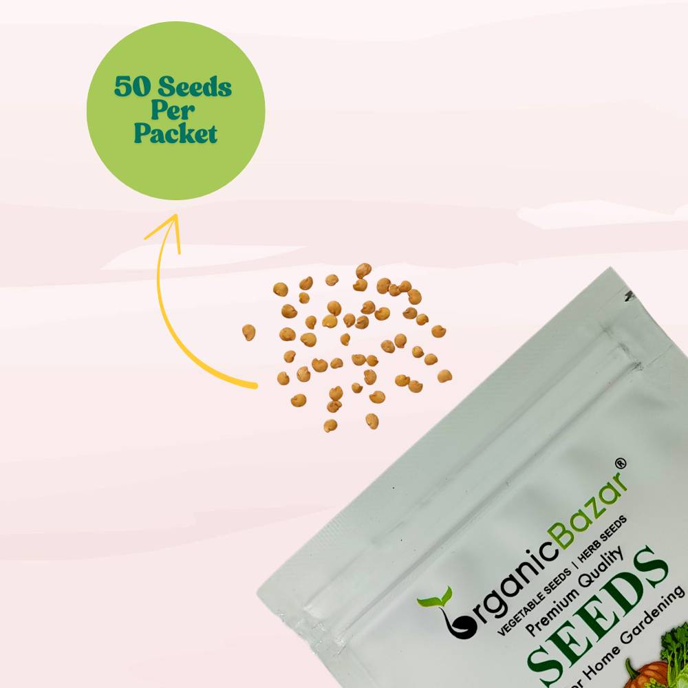 Brinjal Purple Long Seeds - (50 Seeds) High Germination/ High Yield / Ideal for Terrace/Kitchen Gardening (Bainganee Baingan/Eggplant/बैंगनी बैंगन के बीज)