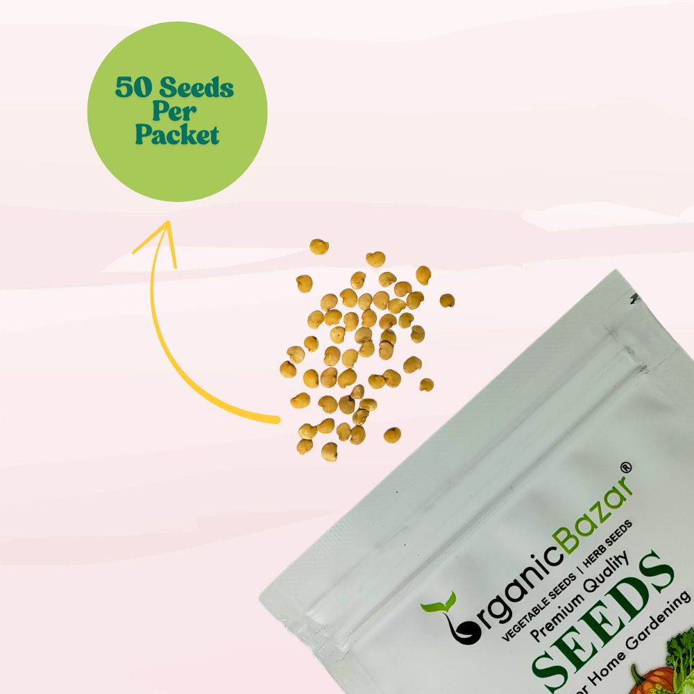 Brinjal Seedless Seeds - 50 Seeds) High Germination/ High Yield / Ideal for Terrace/Kitchen Gardening (Baingan/Eggplant/ बैंगन के बीज)