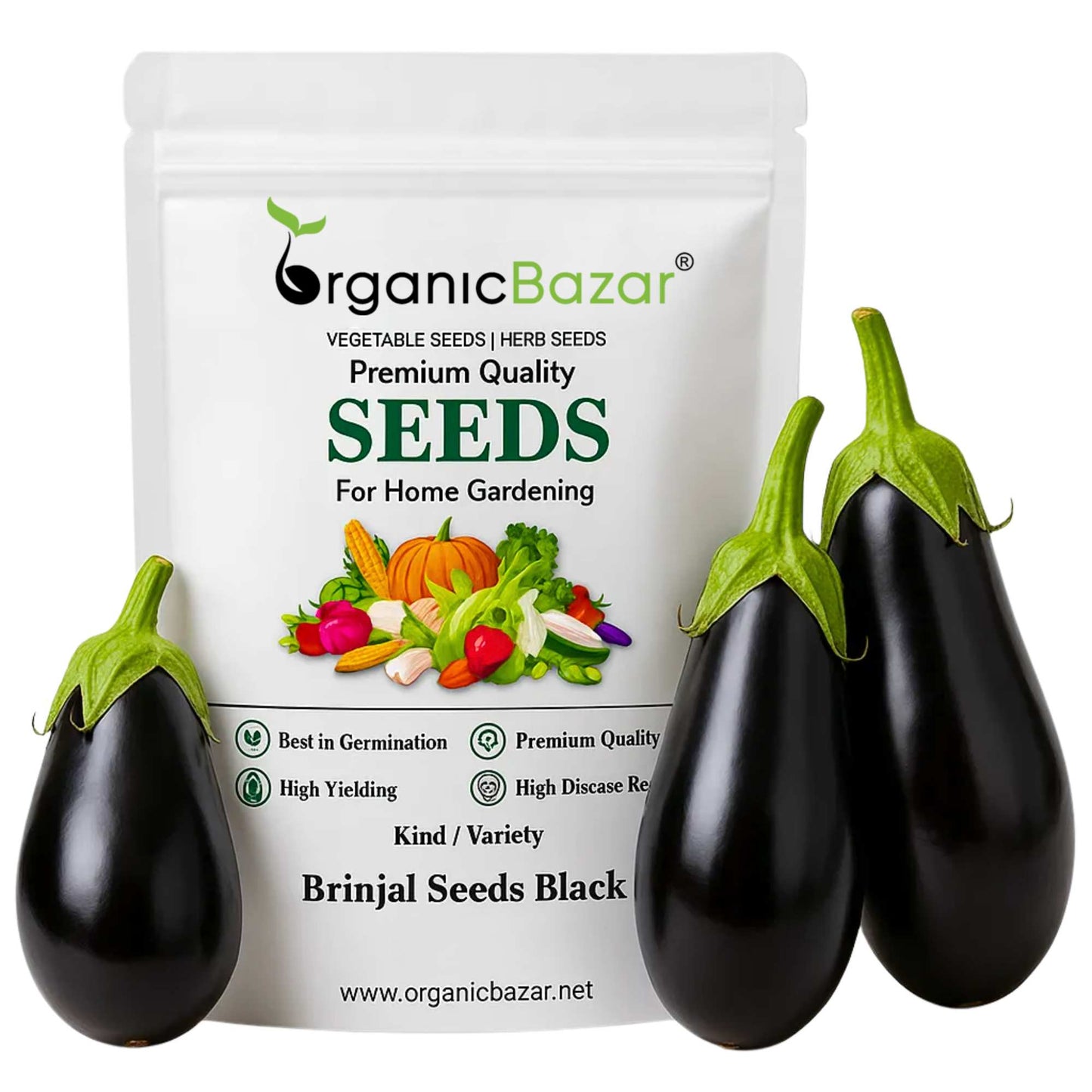 Brinjal Seeds Black - 50 Seeds) High Germination/ High Yield / Ideal for Terrace/Kitchen Gardening (Black Baingan/eggplant/ब्लैक बैंगन के बीज)