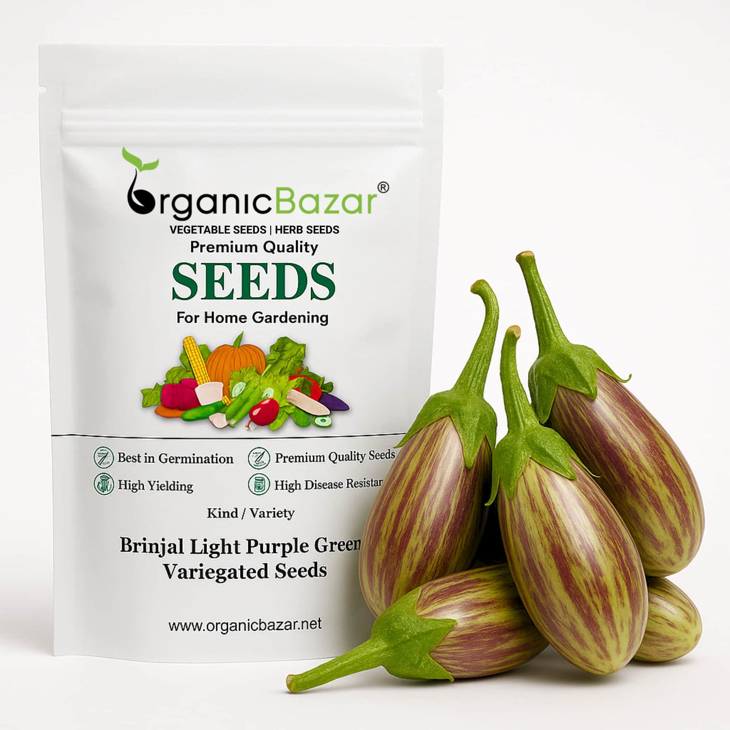 Brinjal Light Purple Green Variegated Seeds - (50 Seeds) High Germination/ High Yield / Ideal for Terrace/Kitchen Gardening (Baingan/eggplant/ बैंगन के बीज)