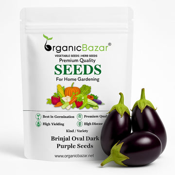 Brinjal Oval Dark Purple Seeds - (50 Seeds) High Germination/ High Yield / Ideal for Terrace/Kitchen Gardening (Bainganee Baingan/Eggplant/बैंगनी बैंगन के बीज)