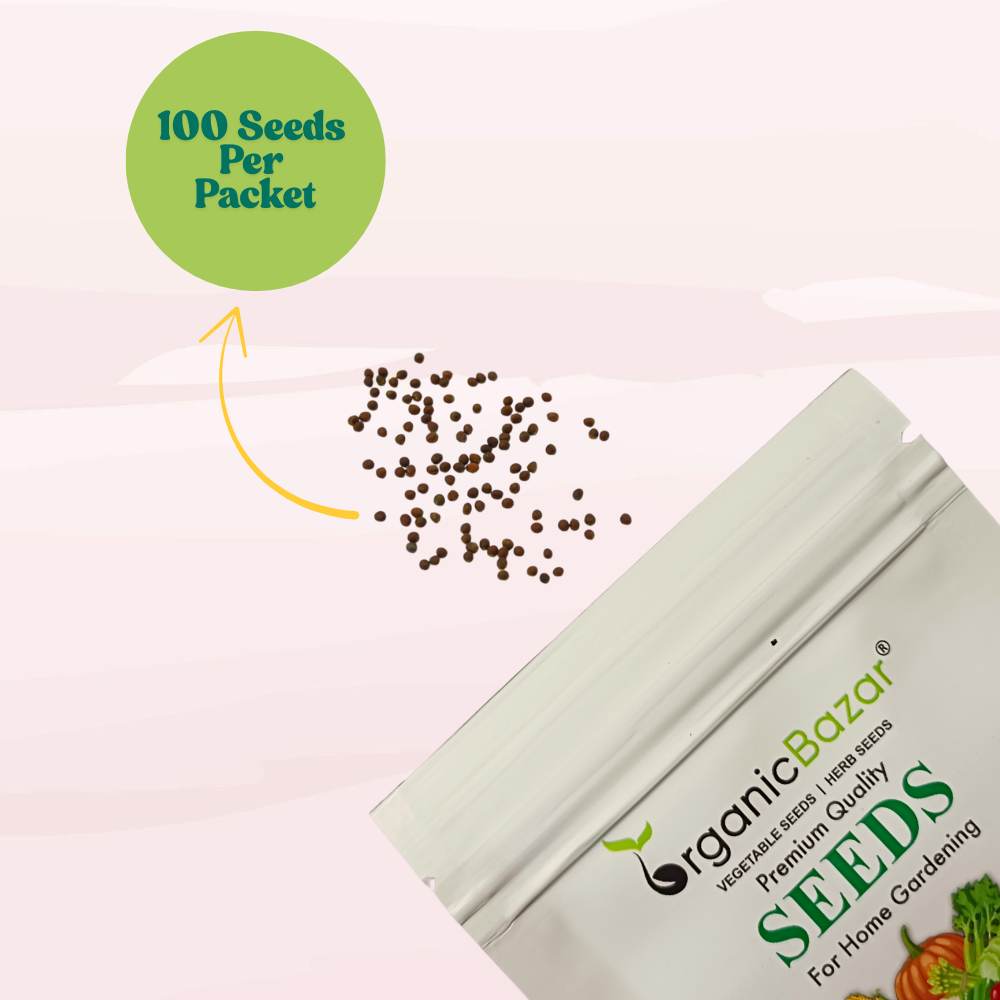 Broccoli Dark Green F1 Hybrid Seeds - 100 Seeds (Hari Gobhi/हरी गोभी/ब्रोकली के बीज) High Germination /Easy to Grow/Ideal for Terrace/Kitchen Gardening