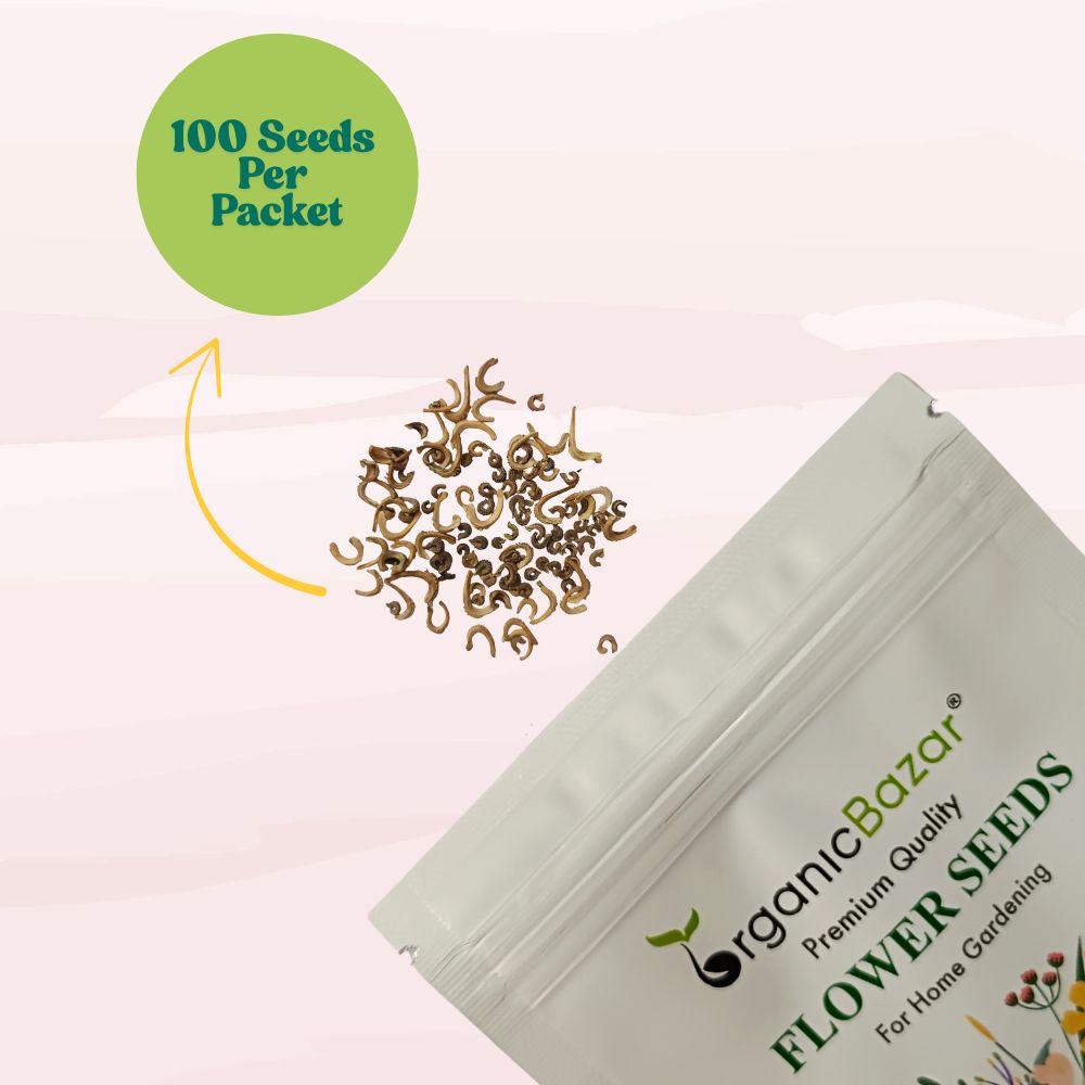 Calendula Officinalis Fiesta Gitana Mix Seeds - 100 Seeds (Pot marigold/पॉट मैरीगोल्ड के बीज)