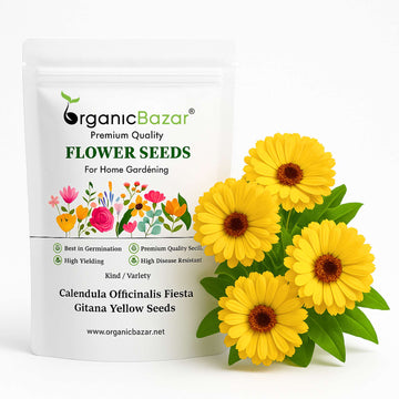 Calendula Officinalis Fiesta Gitana Yellow Seeds - 100 Seeds (Pot marigold/पॉट मैरीगोल्ड के बीज)  High germination/Easy To grow/ Perfect for pots, balconies, or Terrace gardens