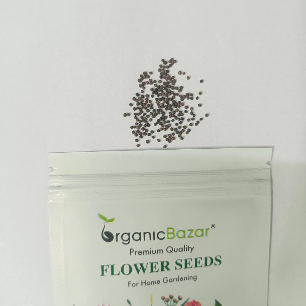 California Poppy Orange Seeds - 200 Seeds (Khus Khus/Posta/पोस्ता के फूल) High Germination/ Easy To grow/ Perfect for pots, balconies, or Terrace gardens